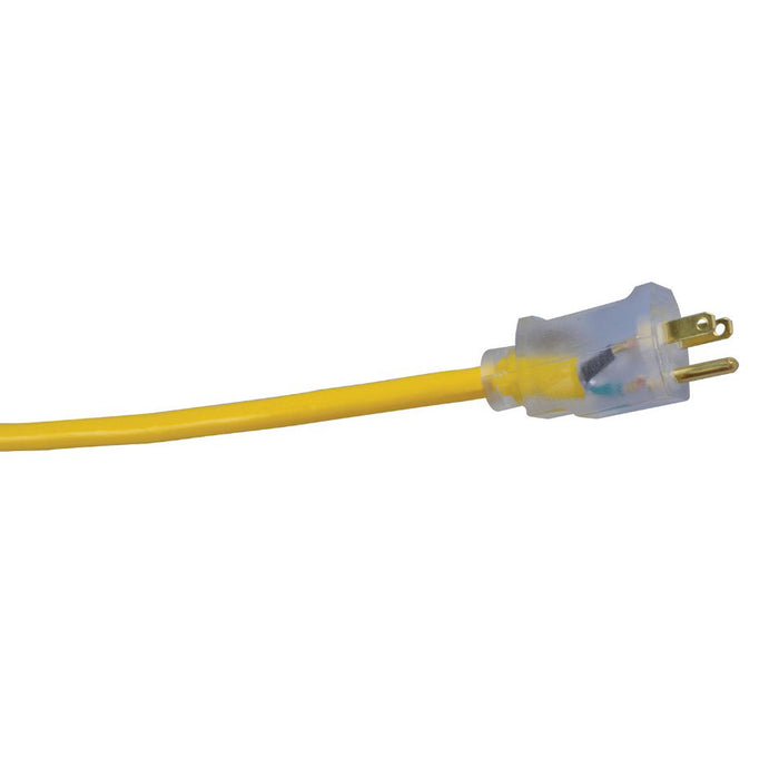 Southwire 2589SW0002 12/3 100' SJTW Extension Cord