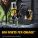 DeWalt DCF403D1 20V MAX XR Brushless Cordless 3/16" Rivet Tool Kit - 14