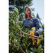 DeWalt DCPR320D1 20V MAX* 1-1/2 in. Cordless Pruner Kit - 7